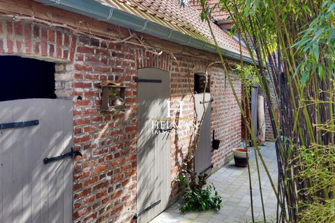 Villa i Witternesse, Pas-de-Calais, Witternesse - € 562.000 | Ref: 2885-HELMAN - foto 16