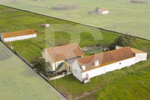 Villa i Montijo, Setubal, Montijo - € 395.000 | Ref: RG0036/26 - foto 3