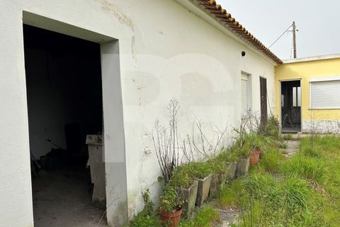 Villa i Montijo, Setubal, Montijo - € 395.000 | Ref: RG0036/26 - foto 18