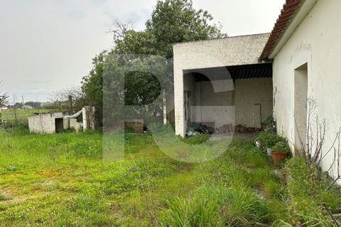 Villa i Montijo, Setubal, Montijo - € 395.000 | Ref: RG0036/26 - foto 25