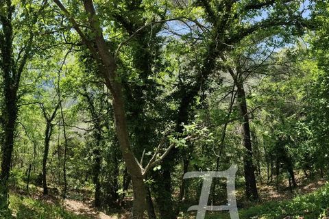 Villa a Castillon, Alpes-Maritimes, Castillon - € 447.000 | Ref: 86751014 - foto 17