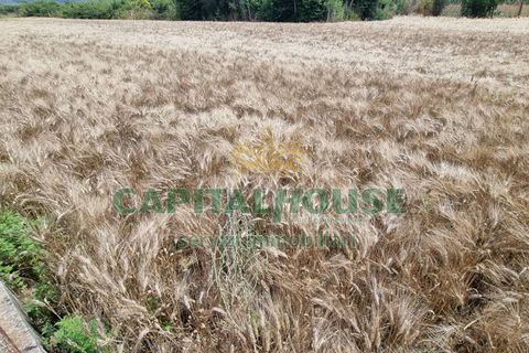 Tomt i Recale, Caserta, Recale - € 80 000 | Ref: 80RE20 - foto 10