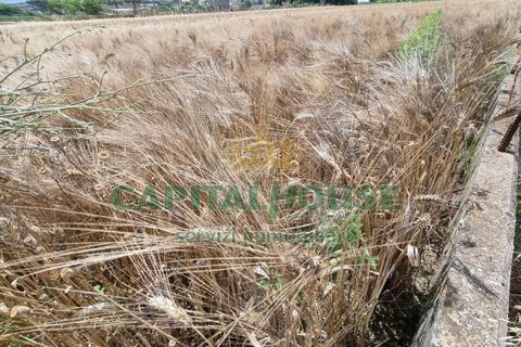 Tomt i Recale, Caserta, Recale - € 80 000 | Ref: 80RE20 - foto 11
