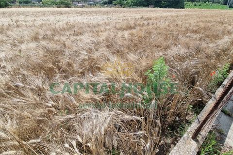 Tomt i Recale, Caserta, Recale - € 80 000 | Ref: 80RE20 - foto 21
