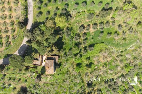 Gårdshus i Sinalunga, Siena, Sinalunga - € 310 000 | Ref: SIN2949-616170 - foto 11