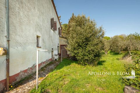 Gårdshus i Sinalunga, Siena, Sinalunga - € 310 000 | Ref: SIN2949-616170 - foto 37