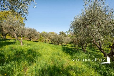 Gårdshus i Sinalunga, Siena, Sinalunga - € 310 000 | Ref: SIN2949-616170 - foto 42