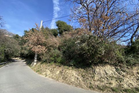 Helårsgrund i Menton, Alpes-Maritimes, Menton - € 53.500 | Ref: 3011443309 - foto 2