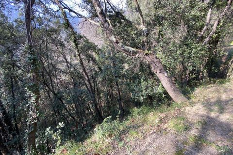 Terra a Menton, Alpes-Maritimes, Menton - € 27.500 | Ref: 3011443308 - foto 2