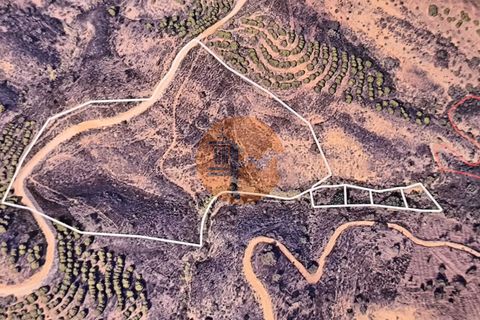 Helårsgrund i Castro Marim, Faro, Castro Marim - € 47.500 | Ref: SU-CS-TR-94280 - foto 18