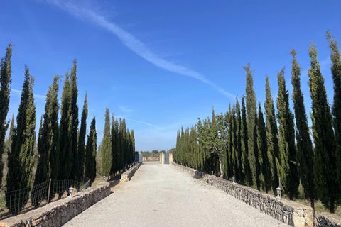 Landejendom i Llucmajor, Mallorca, Llucmajor - € 2.400.000 | Ref: ES-1024-L - foto 33
