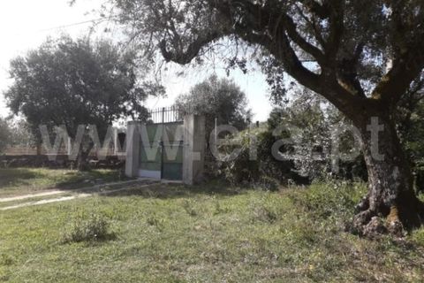 Terra a Nelas, Viseu, Nelas - € 69.000 | Ref: 382260023 - foto 2