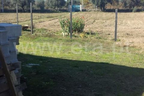 Terra a Nelas, Viseu, Nelas - € 69.000 | Ref: 382260023 - foto 7