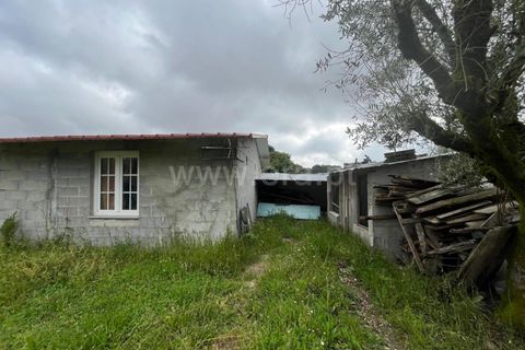Terra a Nelas, Viseu, Nelas - € 69.000 | Ref: 382260023 - foto 9