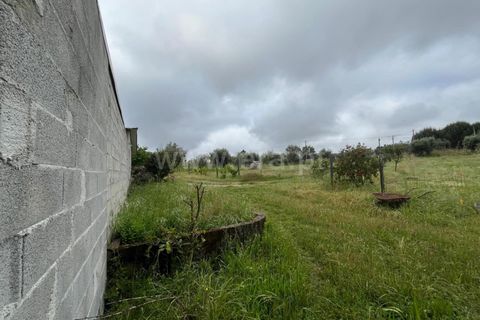 Terra a Nelas, Viseu, Nelas - € 69.000 | Ref: 382260023 - foto 10