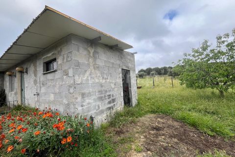 Terra a Nelas, Viseu, Nelas - € 69.000 | Ref: 382260023 - foto 11