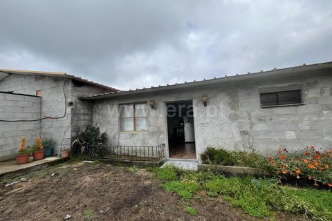 Terra a Nelas, Viseu, Nelas - € 69.000 | Ref: 382260023 - foto 13