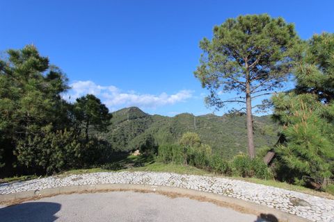 Terra a Benahavis, Malaga, Benahavis - € 750.000 | Ref: R5332990 - foto 7
