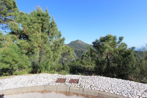 Terra a Benahavis, Malaga, Benahavis - € 750.000 | Ref: R5332990 - foto 8