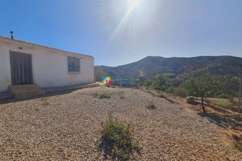 Landejendom i Albox, Almeria, Albox - € 159.000 | Ref: 2618 - foto 3