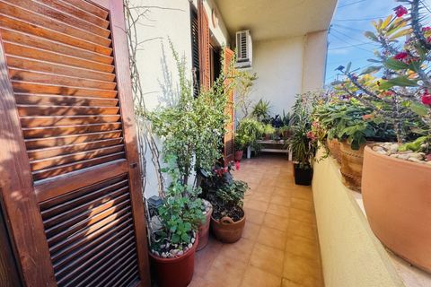 Lejlighed i Capdepera, Mallorca, Capdepera - € 295.000 | Ref: 1083 D - foto 2