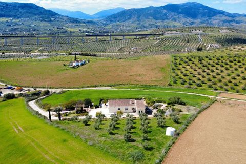 Landejendom i Alora, Malaga, Alora - € 699.000 | Ref: F5330668 - foto 35