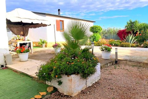 Villa a Elche, Alicante, Elche - € 247.000 | Ref: EXP13619/8930 - foto 7