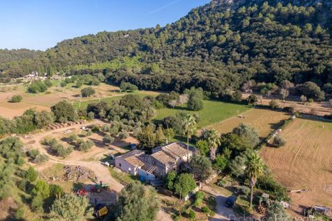 Landhuis in Pollenca, Mallorca, Pollenca - € 1.450.000 | Ref: 1570 - foto 16