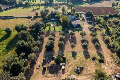 Landhuis in Pollenca, Mallorca, Pollenca - € 1.450.000 | Ref: 1570 - foto 18
