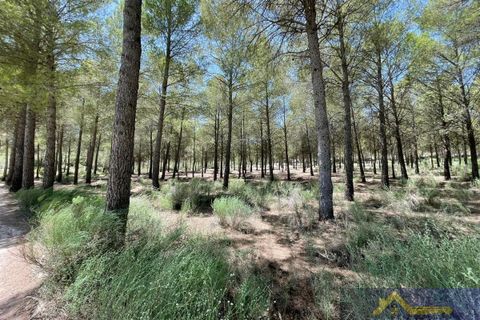 Villa i Calasparra, Murcia, Calasparra - € 355.000 | Ref: 3257 - foto 21