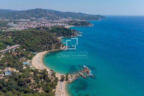 Villa i Blanes, Gerona, Blanes - € 1.600.000 | Ref: CBR30381 - foto 37
