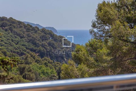 Villa i Blanes, Gerona, Blanes - € 1.600.000 | Ref: CBR30381 - foto 43