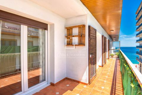 Lejlighed i Sant Antoni De Calonge, Gerona, Sant Antoni De Calonge - € 445.000 | Ref: PDA67528 - foto 2