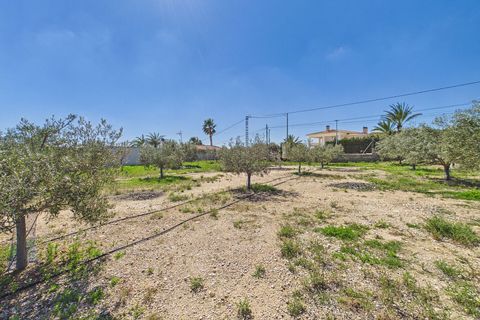 Villa a Albatera, Alicante, Albatera - € 349.000 | Ref: OKP2192 - foto 33