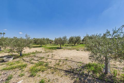 Villa a Albatera, Alicante, Albatera - € 349.000 | Ref: OKP2192 - foto 34