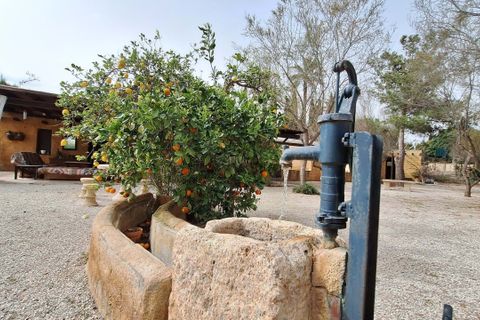 Landejendom i Mula, Murcia, Mula - € 430.000 | Ref: 1RE1190 - foto 38