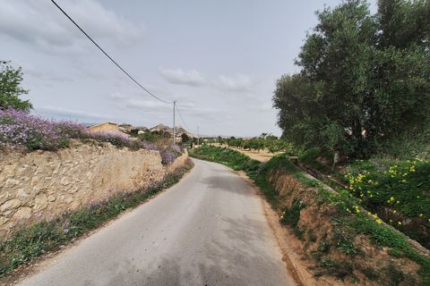 Landejendom i Mula, Murcia, Mula - € 430.000 | Ref: 1RE1190 - foto 40