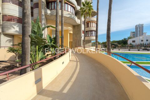 Lejlighed i Benidorm, Alicante, Benidorm - € 345.000 | Ref: W-02YJMB - foto 26