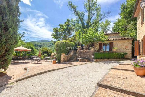 Farm hus i Umbertide, Perugia, Umbertide - € 1.600.000 | Ref: R29-863108 - foto 28