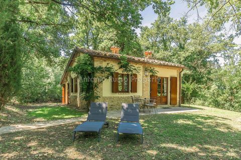 Farm hus i Umbertide, Perugia, Umbertide - € 1.600.000 | Ref: R29-863108 - foto 35