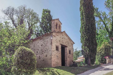 Farm hus i Umbertide, Perugia, Umbertide - € 1.600.000 | Ref: R29-863108 - foto 39