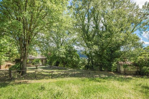 Farm hus i Umbertide, Perugia, Umbertide - € 1.600.000 | Ref: R29-863108 - foto 41