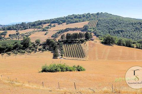 Farm hus i Preselle, Grosseto, Preselle - € 900.000 | Ref: GRO179-872163 - foto 2