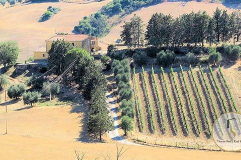 Farm hus i Preselle, Grosseto, Preselle - € 900.000 | Ref: GRO179-872163 - foto 7
