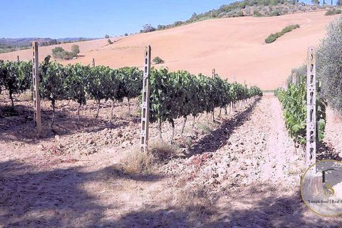 Farm hus i Preselle, Grosseto, Preselle - € 900.000 | Ref: GRO179-872163 - foto 8