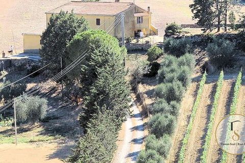Farm hus i Preselle, Grosseto, Preselle - € 900.000 | Ref: GRO179-872163 - foto 9