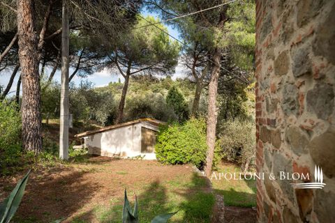 Villa a Sinalunga, Siena, Sinalunga - € 600.000 | Ref: SIN3104-872545 - foto 38