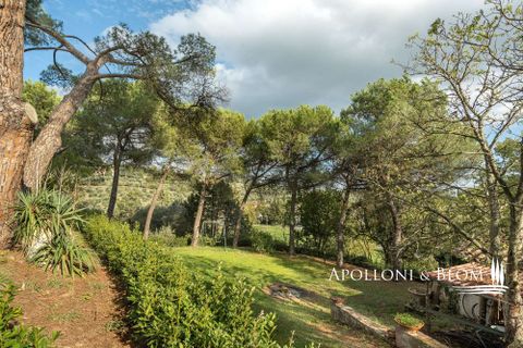 Villa a Sinalunga, Siena, Sinalunga - € 600.000 | Ref: SIN3104-872545 - foto 40