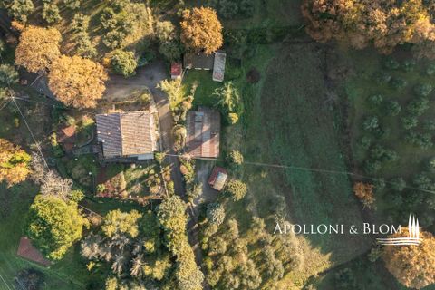 Byhus i Panicale, Perugia, Panicale - € 680.000 | Ref: PAN3462-873301 - foto 11