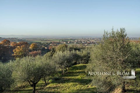 Byhus i Panicale, Perugia, Panicale - € 680.000 | Ref: PAN3462-873301 - foto 38